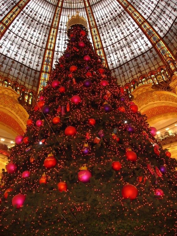L Arbre De Noel Youtube L'ARBRE DE NOEL