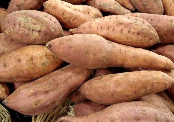 LA PATATE DOUCE