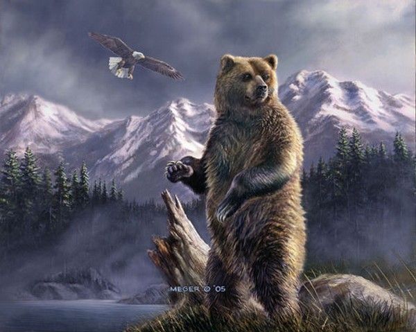 ups bear ne ups bear ne