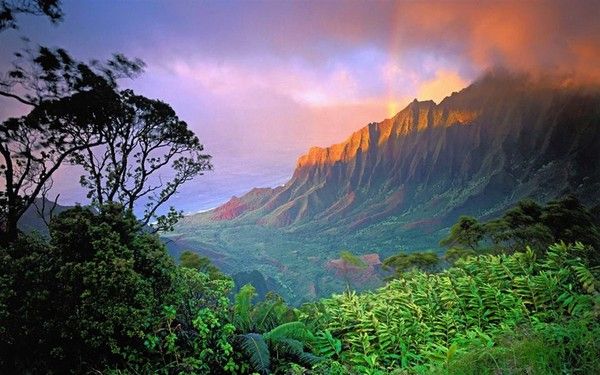 hawaii-paysage