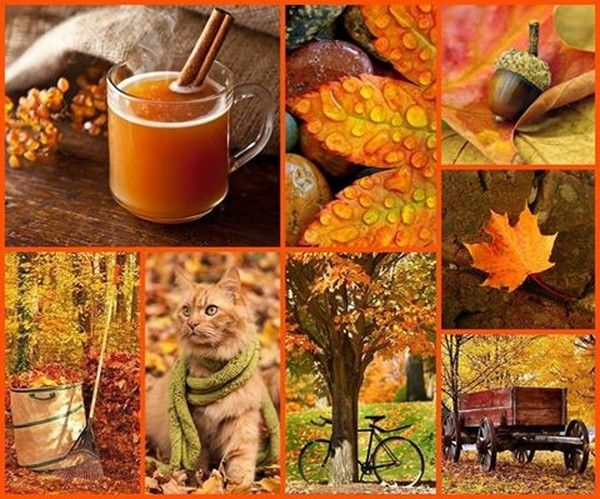 COULEURS D'AUTOMNE